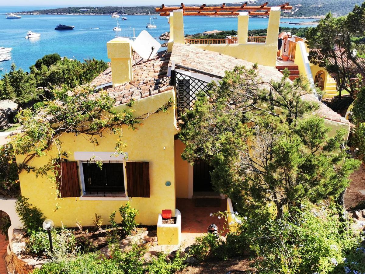 Tea Costa Smeralda - Porto Cervo