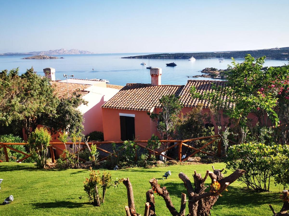 Tea Costa Smeralda - *